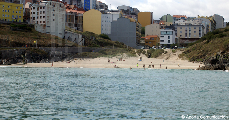 005_Canido