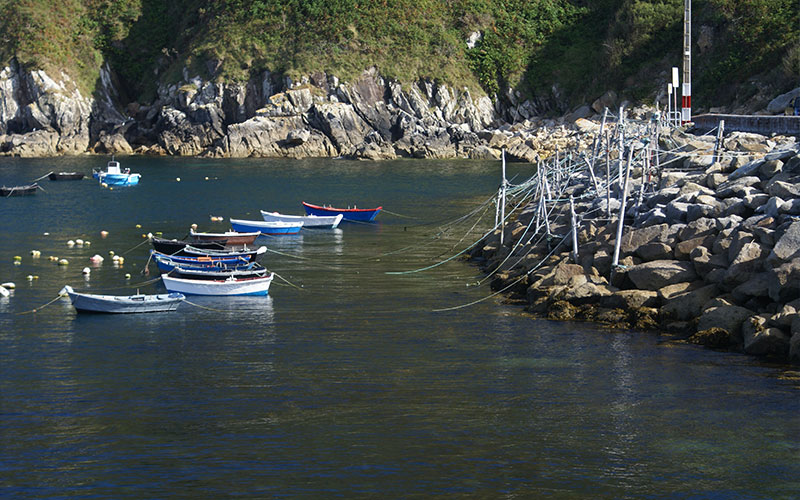slider_portada_2